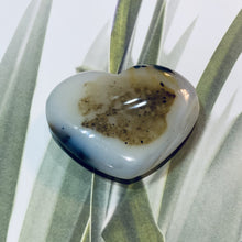 Load image into Gallery viewer, Dendritic Agate Heart