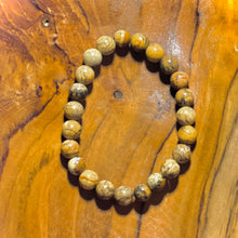 Load image into Gallery viewer, Petrified Wood Bracelet