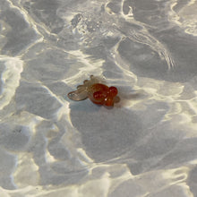 Load image into Gallery viewer, Red Agate Crystal Goldfish
