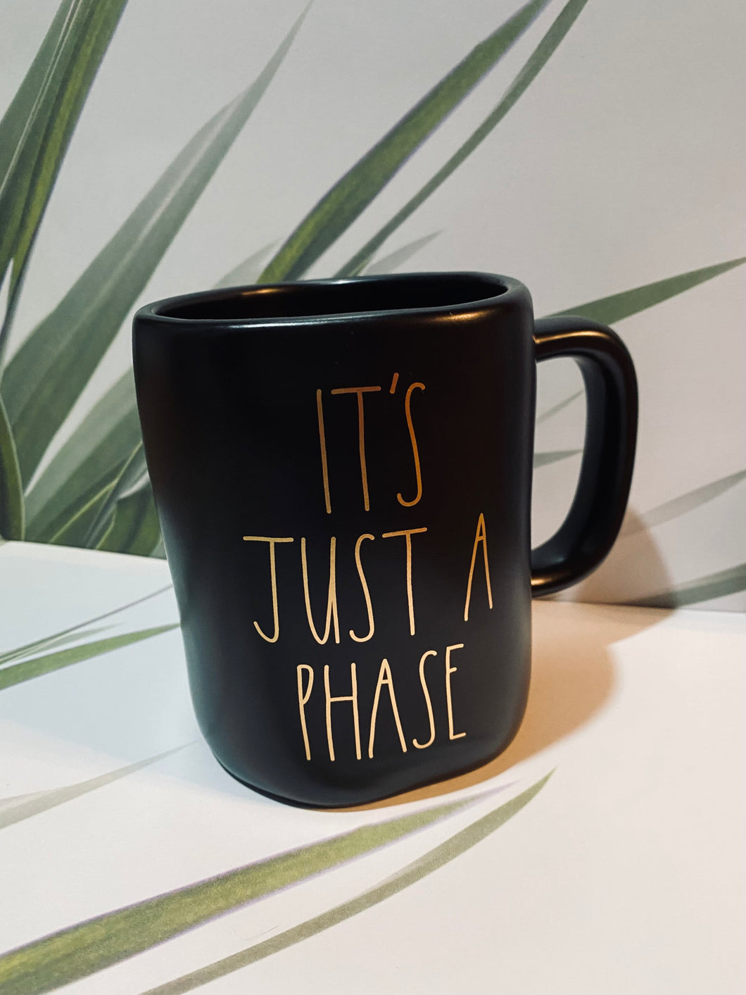 It's Just a Phase Mug